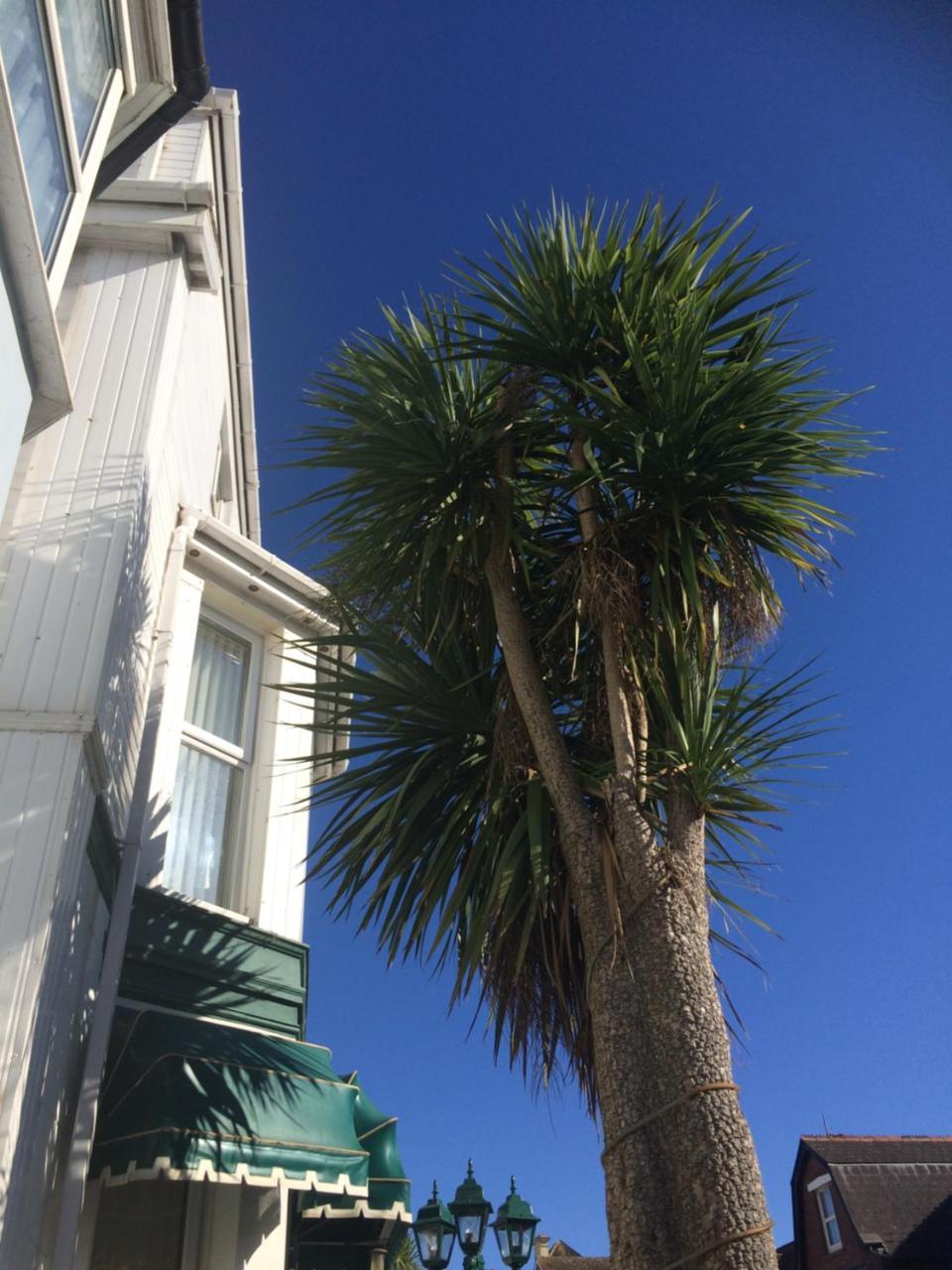 The Haldon Guest House Paignton Exteriér fotografie